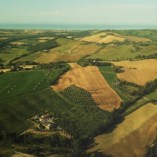 Tenuta Marino Winery